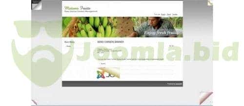Joomla.bid