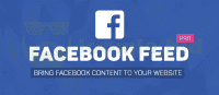 facebook-feed-pro1