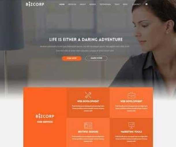 BizCorp - ThemeXpert