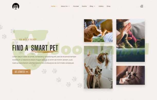 PetHub - Dog, Cat Care & Hikashop