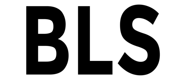 BLS - Backend Language Switcher Pro