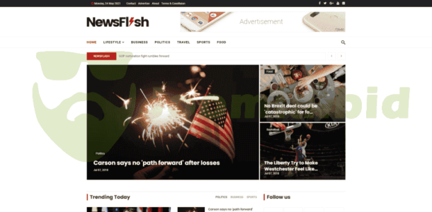 NewsFlash - Magazine (ThemeForest)