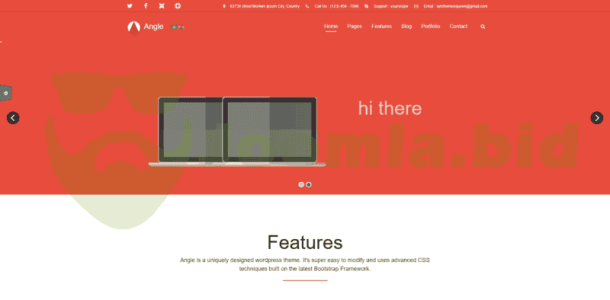 Angle - Responsive (ThemeForest)