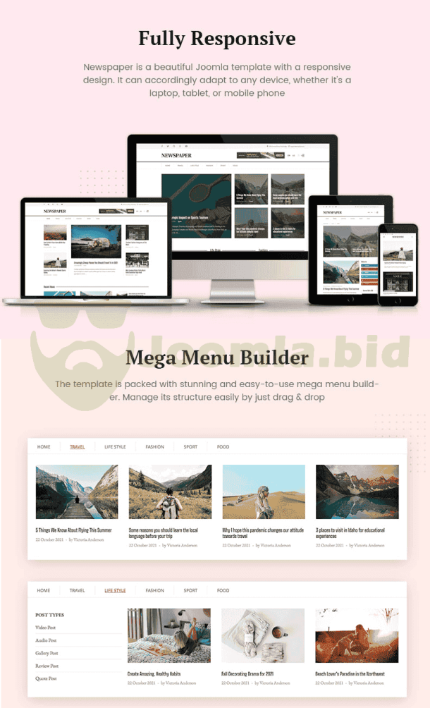 TemPlaza Newspaper - Magazine & News Portal